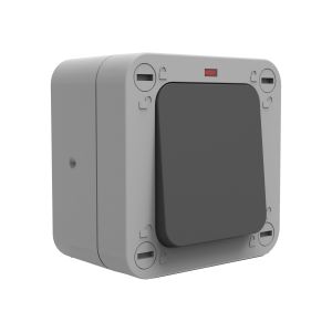 1G 2W Switch SP IP66 g/b