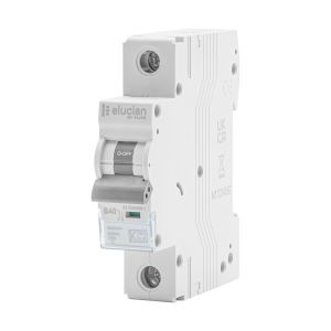 MCB 63A SP 10kA B curve