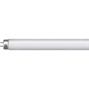 8W T5 300mm 3500K, 5,000 hrs, 380 lumens