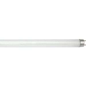  36W T8 6500K, 1200mm, 20,000 hrs, 3100 lumens